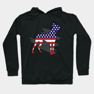 Dachshund 4th of July Patriotic American USA Flag Dog Gift Hoodie